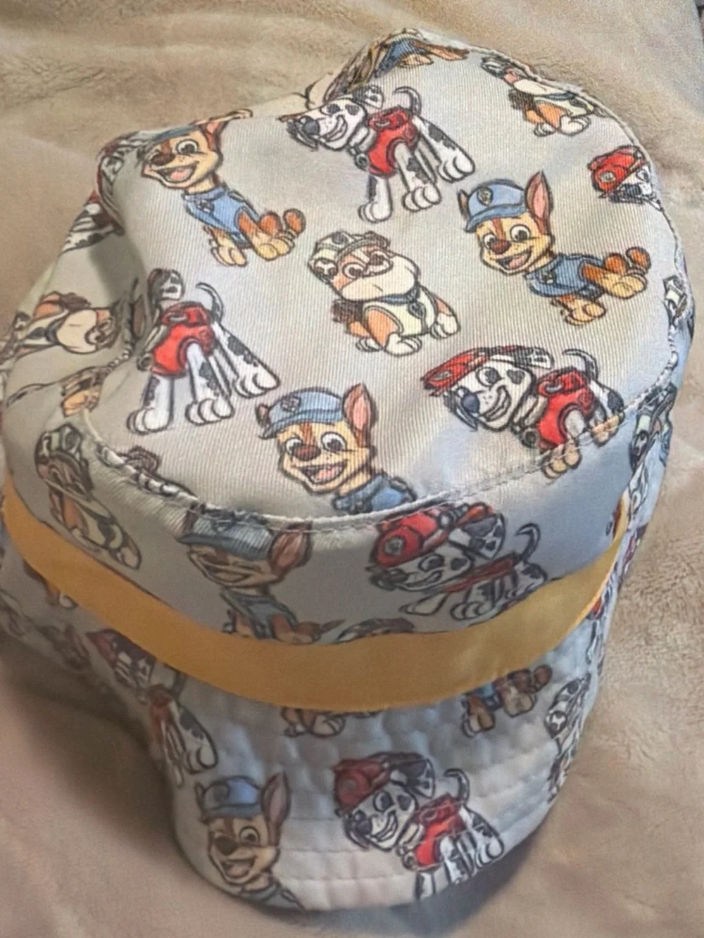 Nickelodeon Paw Patrol Pet Hat in Light Gray with Yellow Band